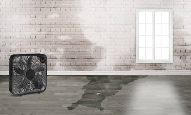  Booneville, AR Water damage restoration Pros