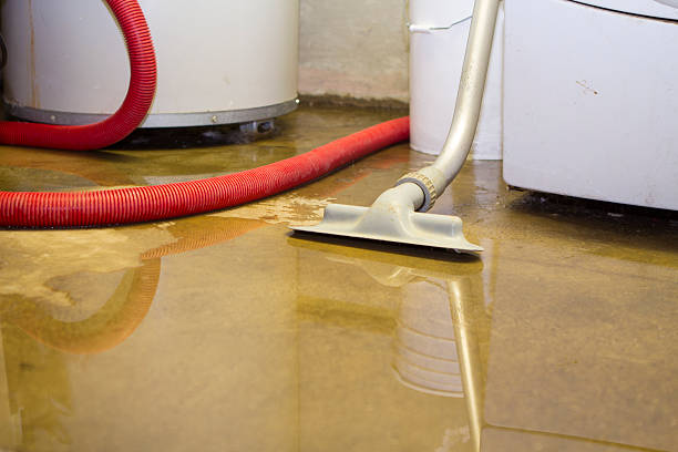 Best Carpet water damage restoration  in Booneville, AR
